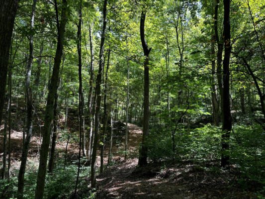 0 TITUS ROAD # (TRACT 4 - THE WOODS AT TITUS), LANGSVILLE, OH 45741, photo 4 of 45