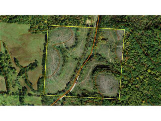 0 DEWITT RUN ROAD, LONG BOTTOM, OH 45743 - Image 1