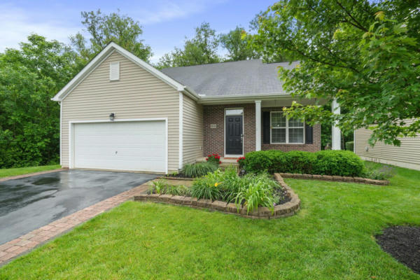 8830 SWEETSHADE DR, LEWIS CENTER, OH 43035 - Image 1