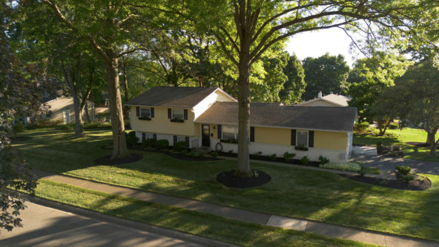 6665 STENTEN ST, WORTHINGTON, OH 43085 - Image 1