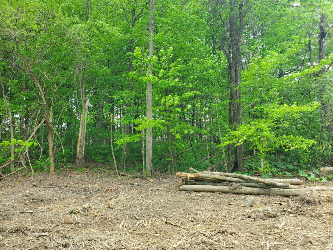 0 SUMMER CREST DRIVE # LOT 9, GALENA, OH 43021, photo 1 of 4