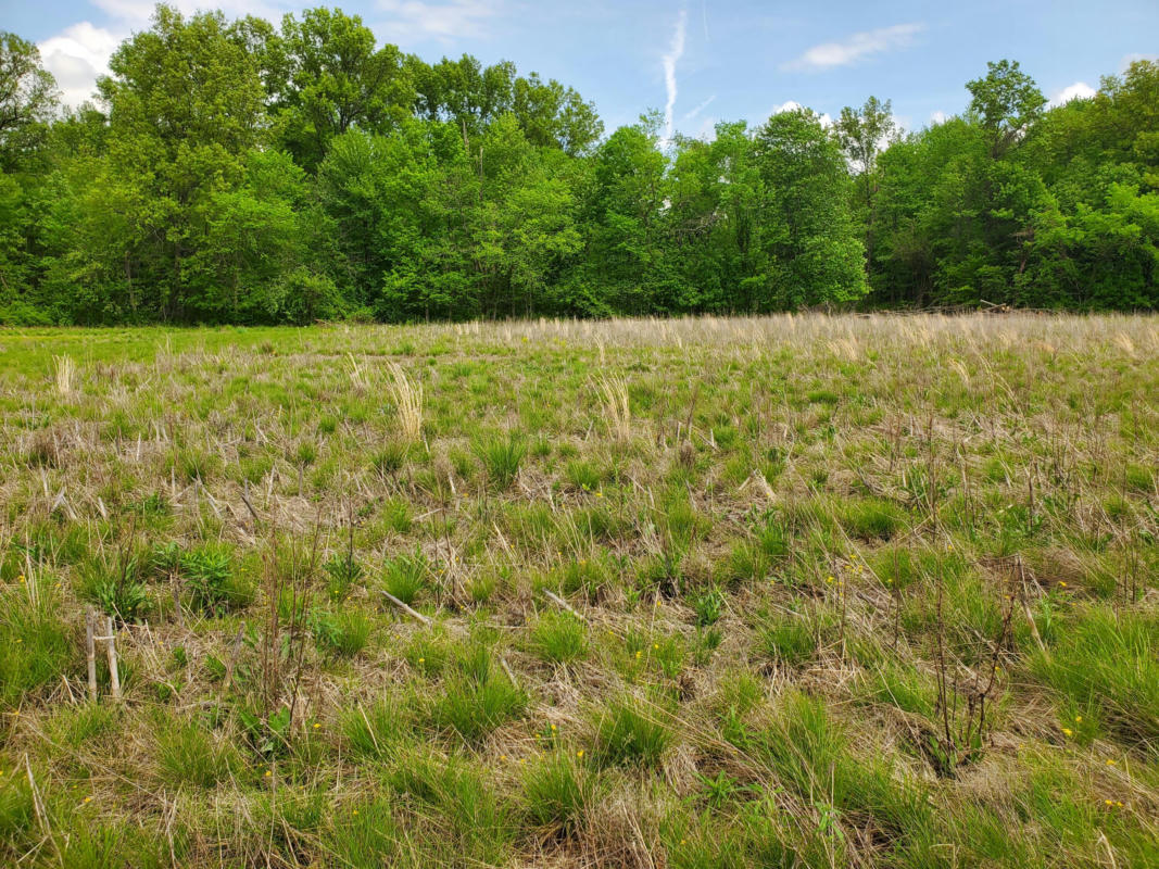 0 SUMMER CREST DRIVE # LOT 6, GALENA, OH 43021, photo 1 of 4
