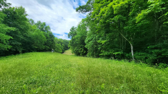 0 POUNDS ROAD # (TRACT 2 POUNDS ROAD), GLOUSTER, OH 45732 - Image 1