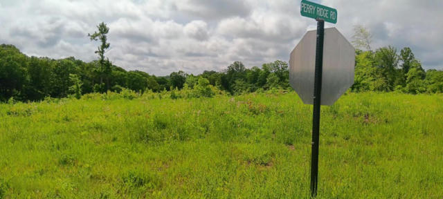 0 PERRY RIDGE ROAD # (CHEAP DIRT AT HUSTON HILLS), RADCLIFF, OH 45695 - Image 1