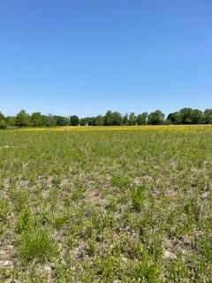 0 GORSUCH ROAD # 2.52 ACRES, GALENA, OH 43021, photo 3 of 3
