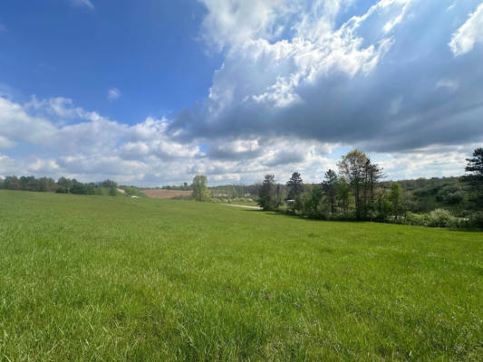 0 S STATE ROUTE 555 # 69.592+- ACRES, CHESTERHILL, OH 43728 - Image 1